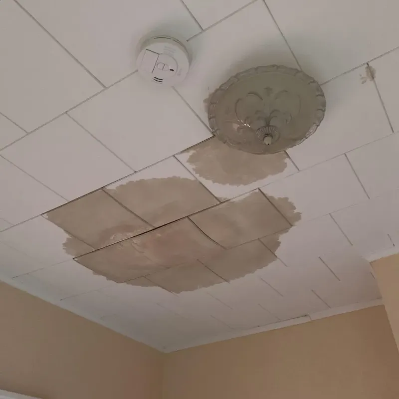 Ceiling Water Damage Repair in Fountainebleau, FL